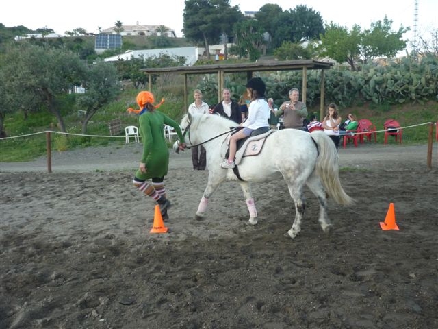 Campamento de hipica
